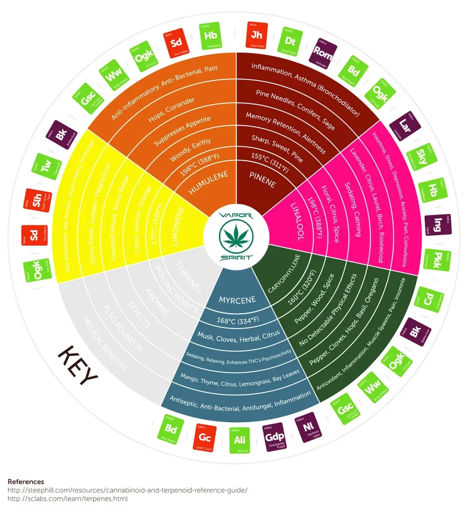 Entourage Effekt - HempJoy CBD Shop Schweiz