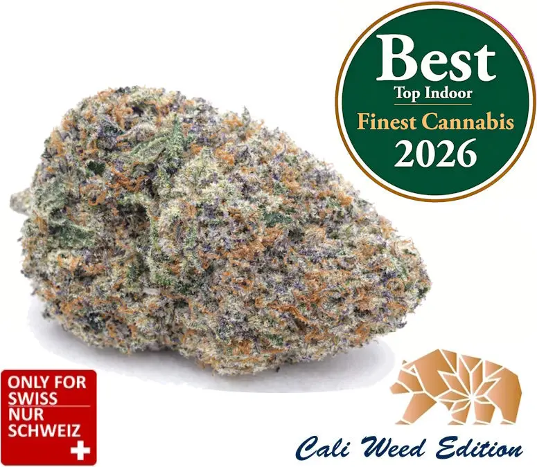 Runtz CBD Blüten Sorte – Premium Indoor CBD Blüten aus der Schweiz