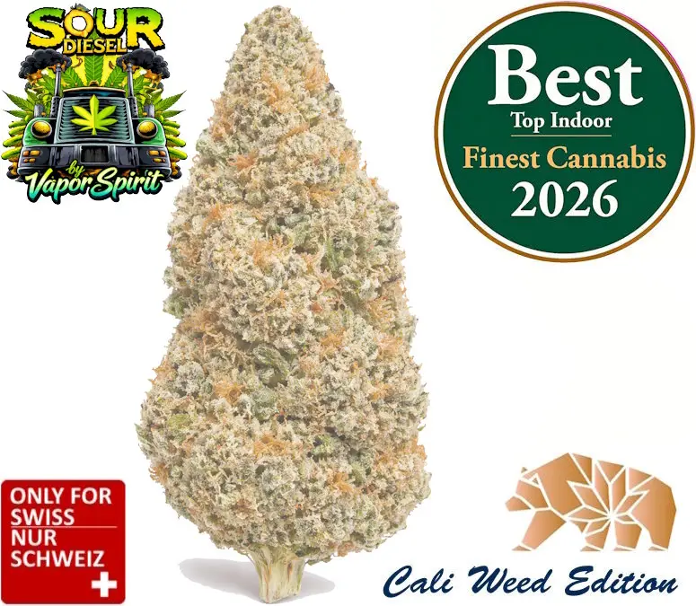 Sour Diesel CBD Blüten – Sativa dominierte CBD Sorte