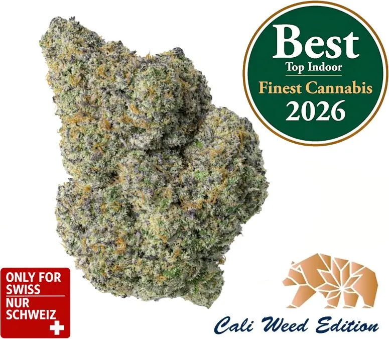 Cherry Pie CBD Blüten Sorte – fruchtig süsses Aroma