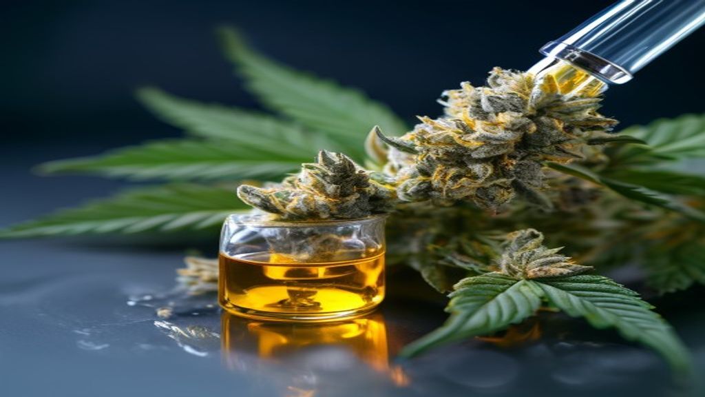HempJoy CBD Shop Zürich – CBD Öl oder Blüten bei VaporSpirit & HempJoy